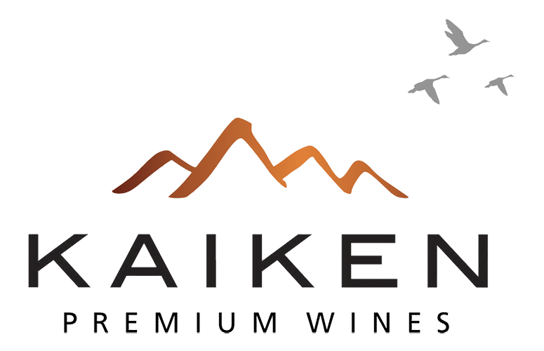 kaiken2