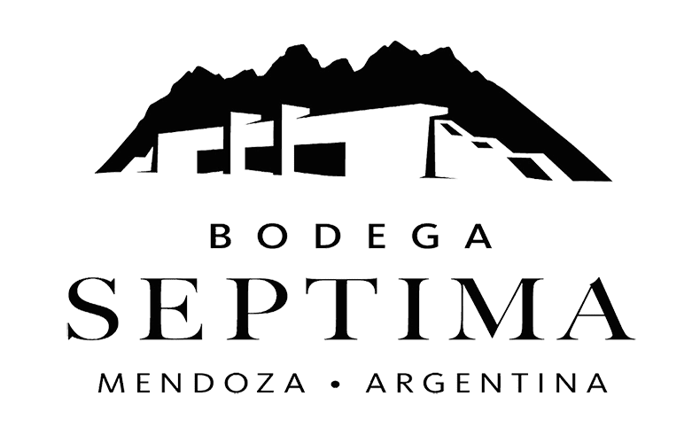 septima2